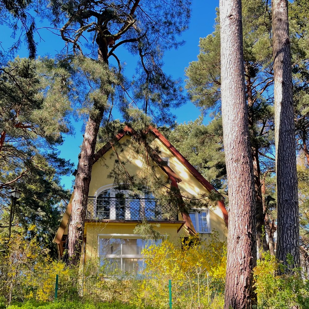 В Светлогорск и Янтарный — из Калининграда — фото 11