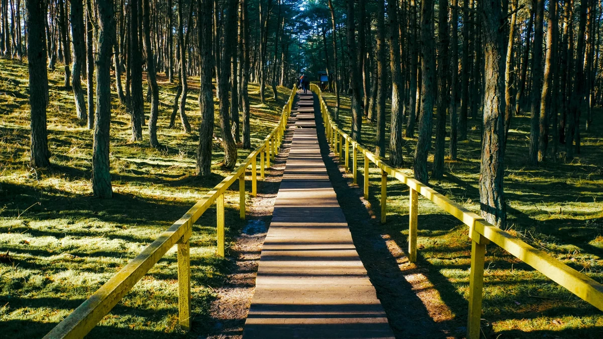 Куршская коса и Зеленоградск для маленькой компании — фото 3