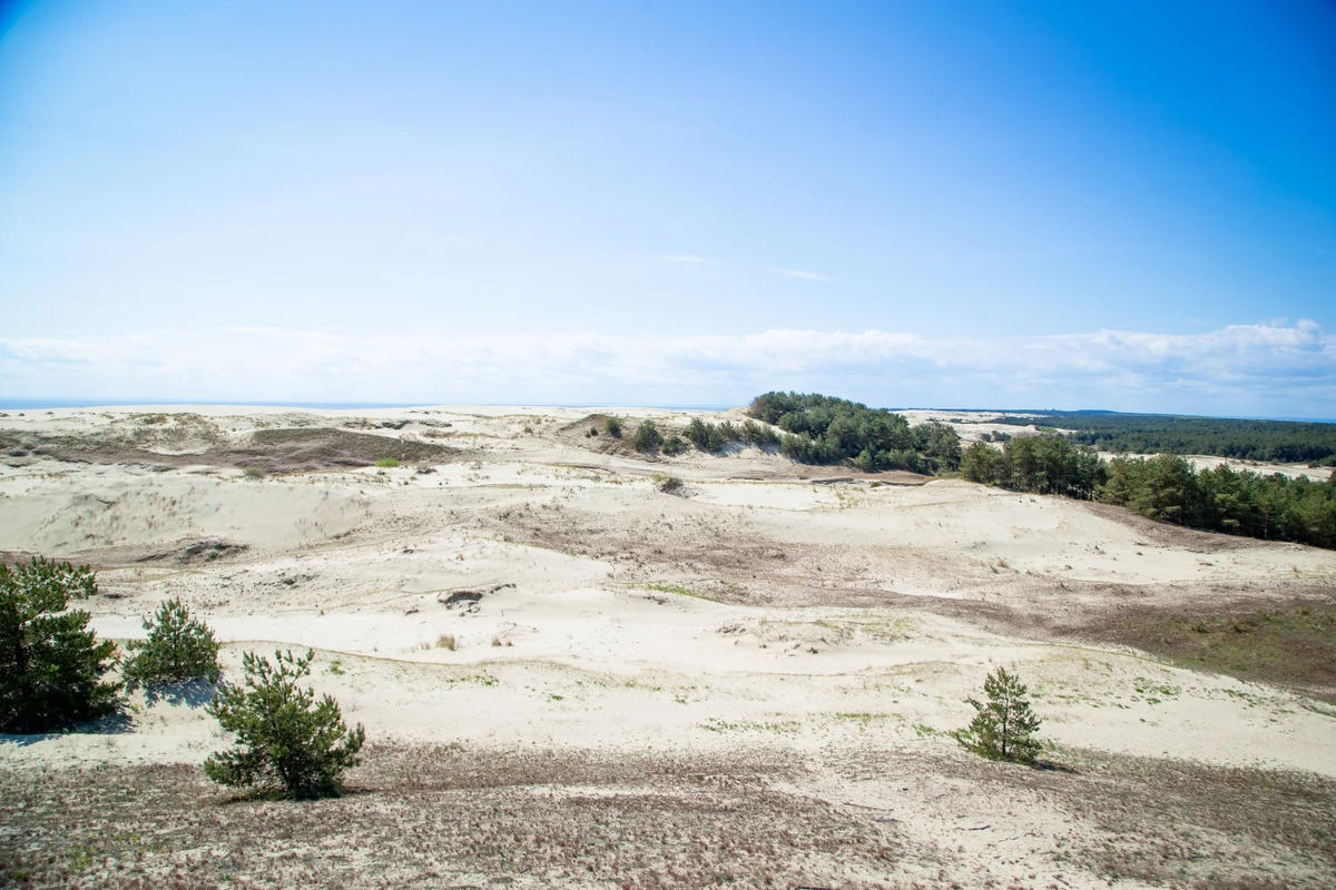 Утренняя Куршская коса, Зеленоградск и замок Нессельбек на автобусе — фото 8