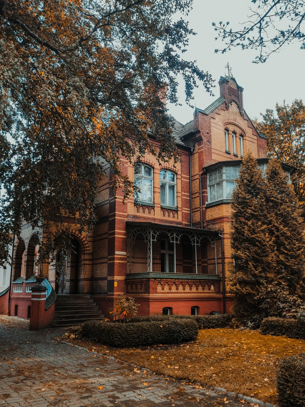 Амалиенау — душа Калининграда — фото 3