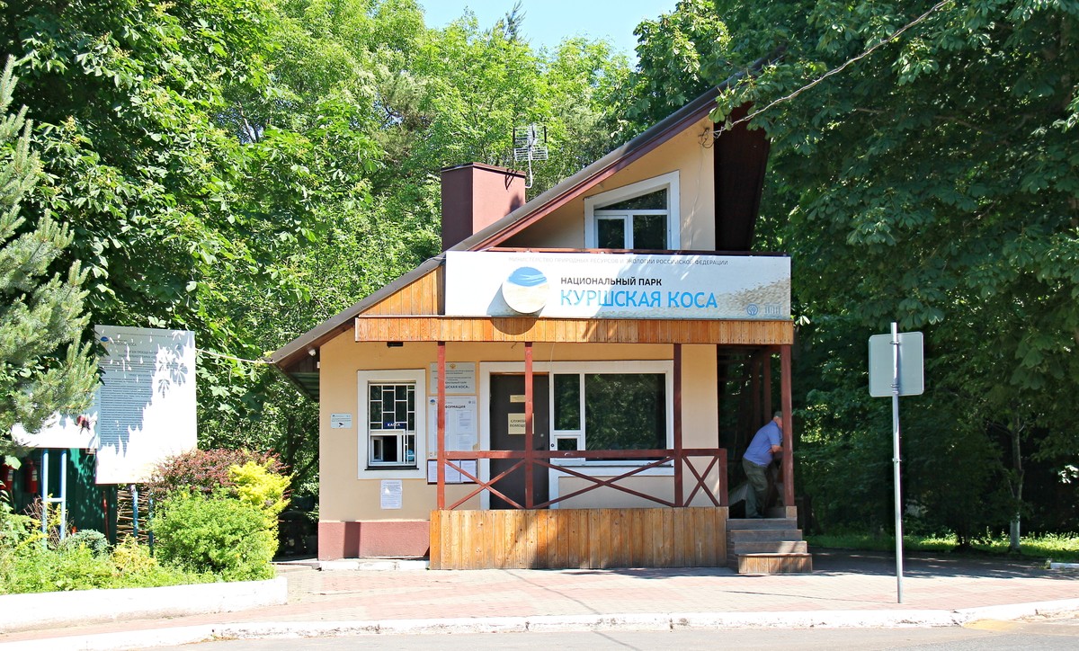 Природное и историческое богатство Куршской косы — фото 6