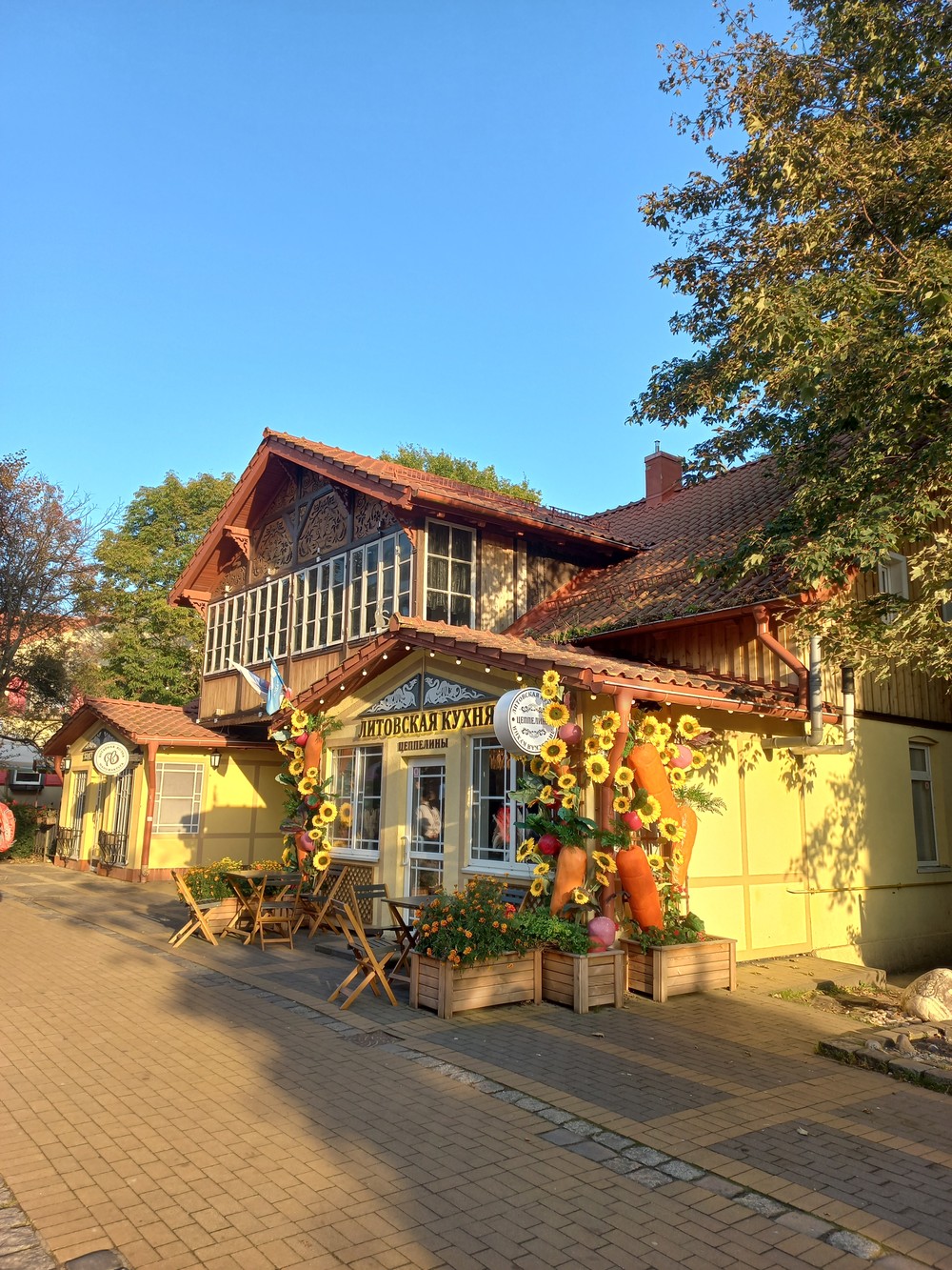 Куршская коса и уютный Зеленоградск — из Калининграда — фото 7