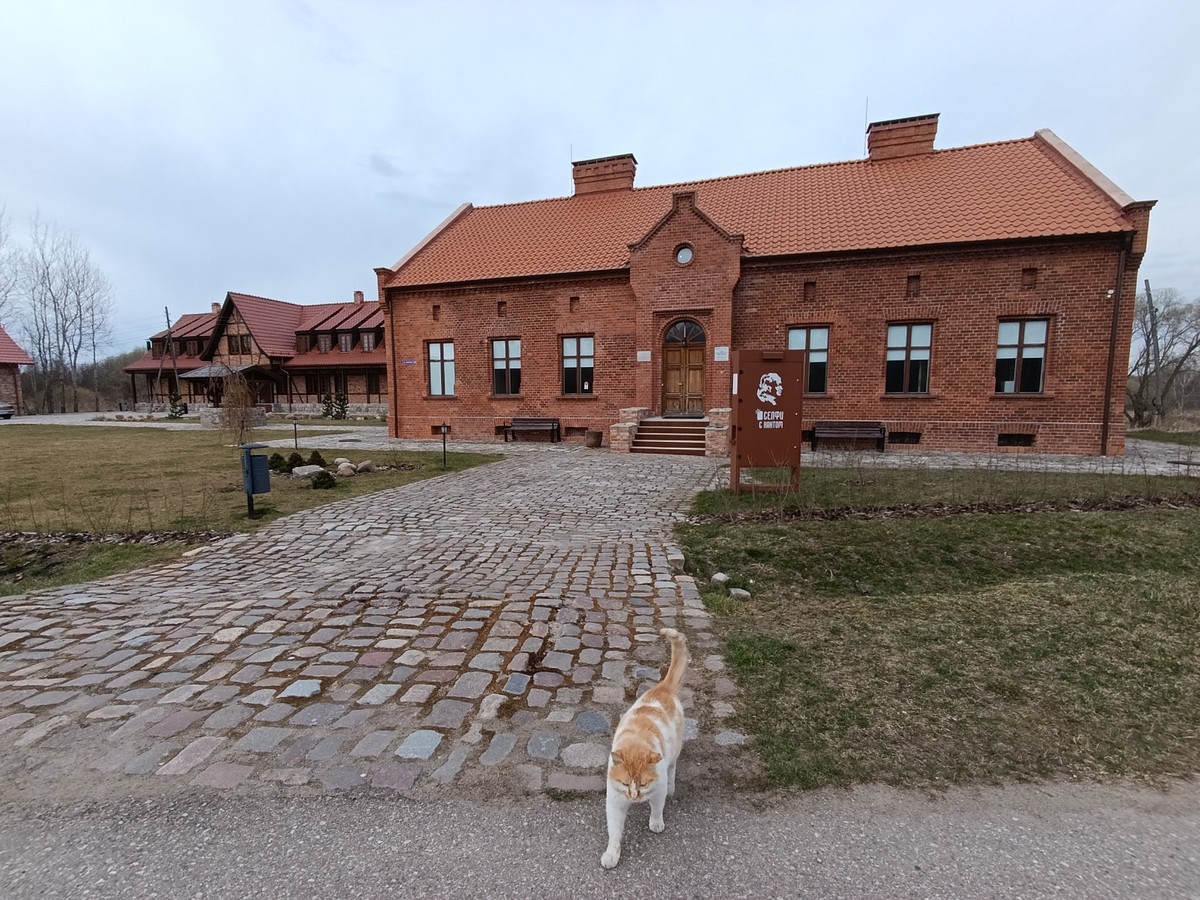 Из Калининграда — на конезавод «Георгенбург» и в очаровательный Гусев — фото 7