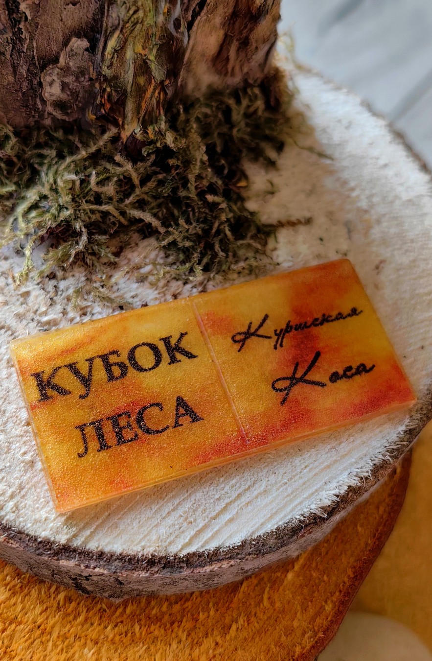 Кубок леса: квест по Куршской Косе — фото 6
