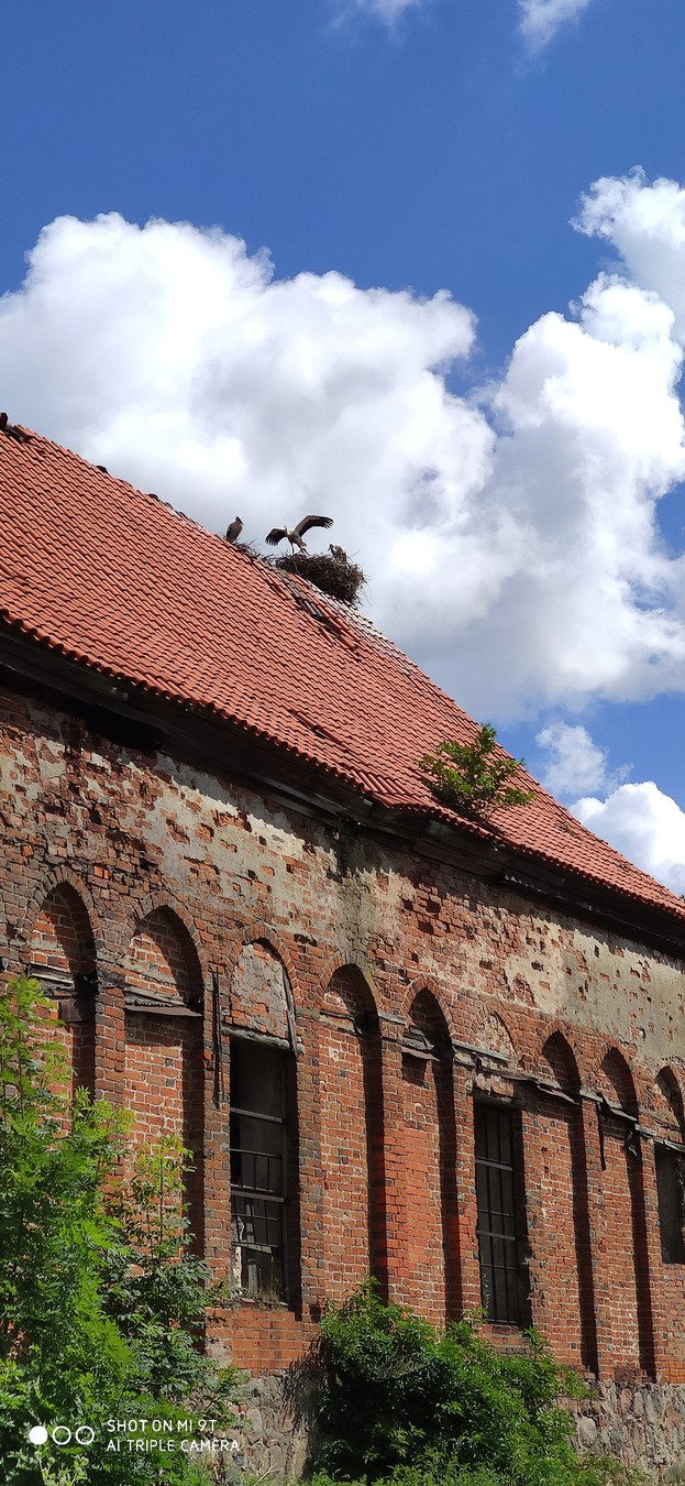 Из Калининграда — в Янтарный и Зеленоградск — фото 7