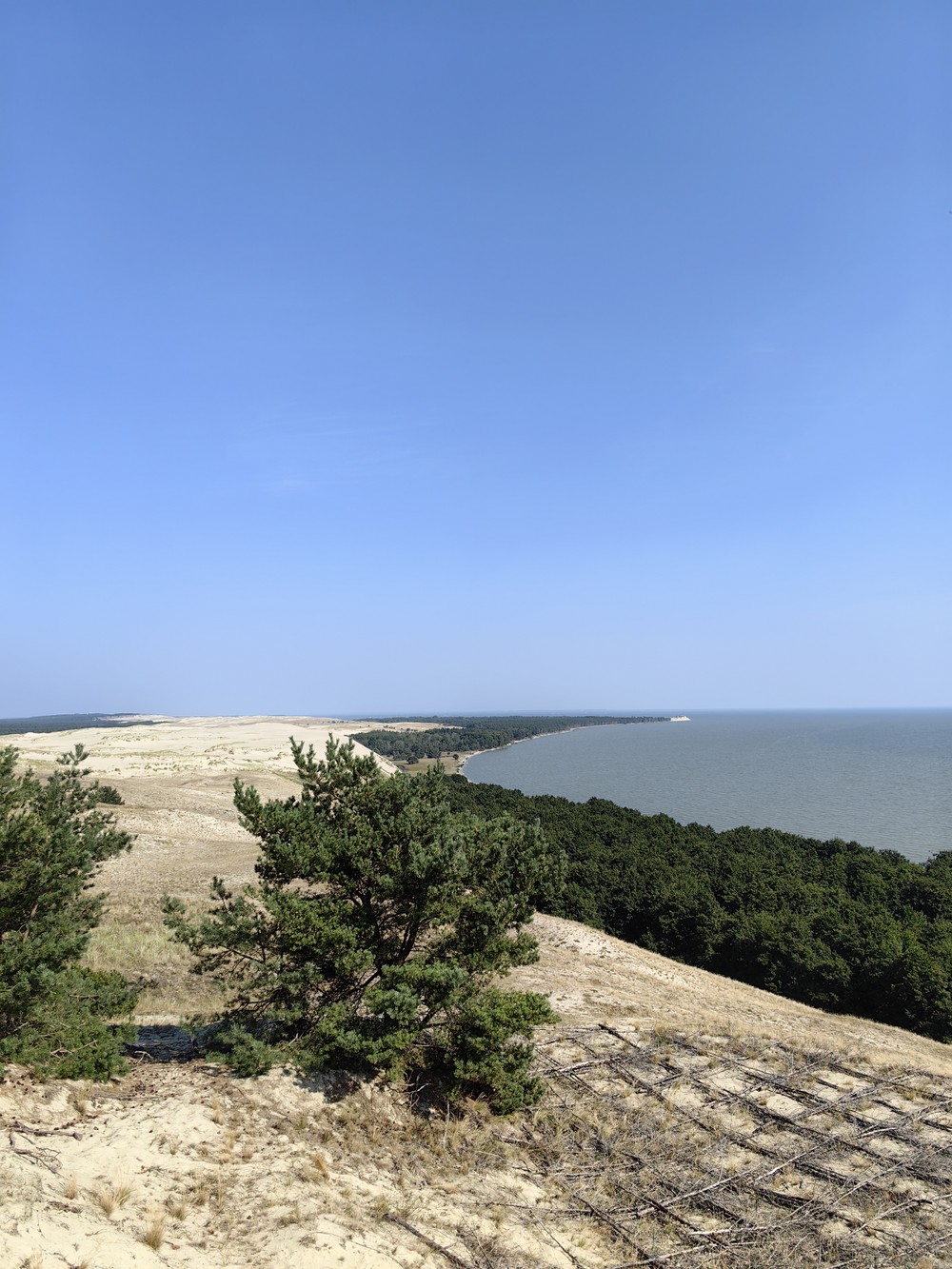 Из аэропорта — на Куршскую косу, в Зеленоградск и форт «Штайн» — фото 12