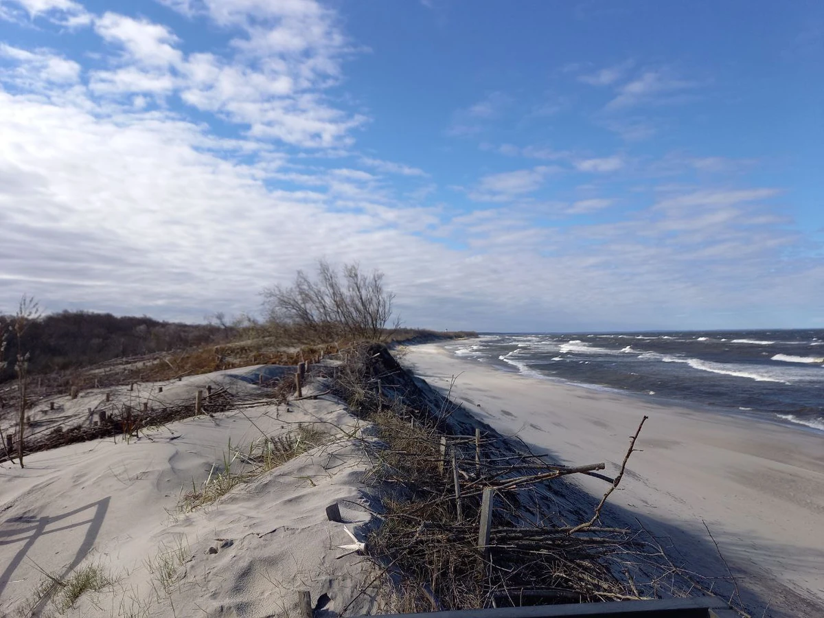 5 городов области и Куршская коса: новогодние праздники у моря — фото 5