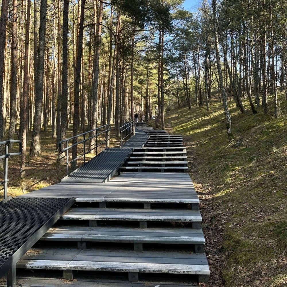 Куршская коса, Зеленоградск и дегустация в сыроварне Шаакен Дорф  — фото 5