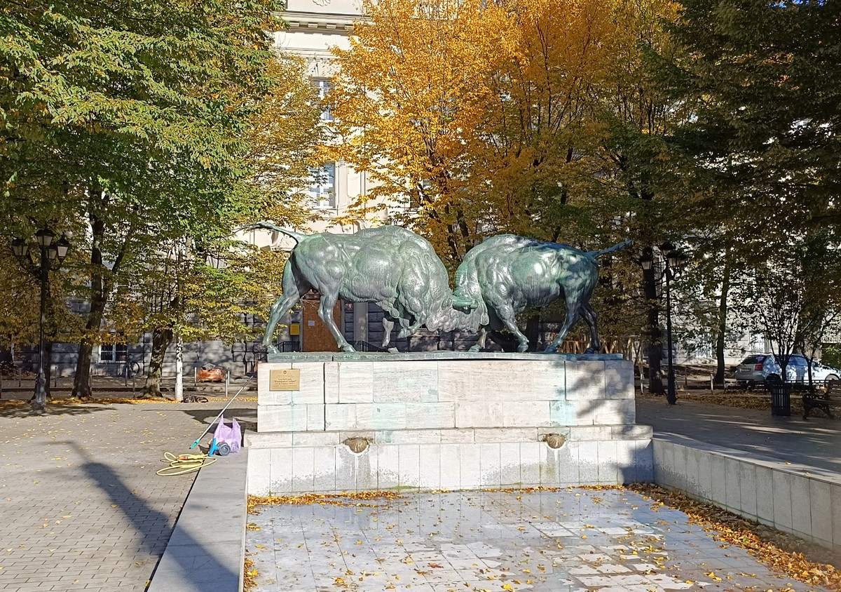 Мобильный квест в Калининграде «Новые приключения Красной Шапочки» — фото 7