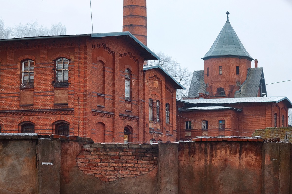 Атмосферная провинция: замок Тапиау и Гвардейск (из Калининграда) — фото 5