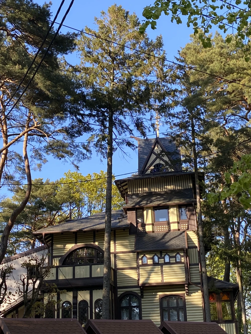 Три в одном: Куршская коса, Светлогорск и Зеленоградск — фото 7