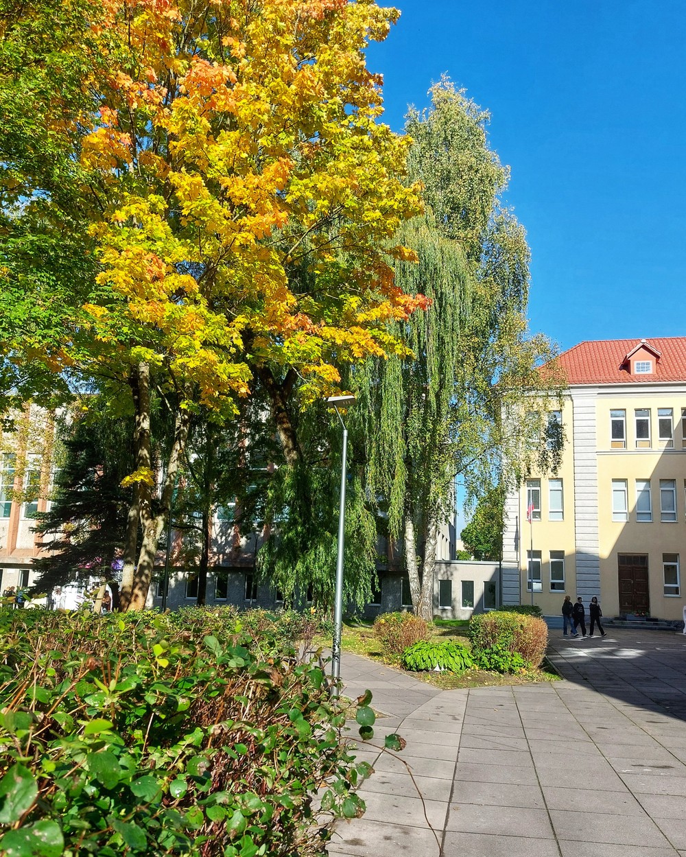 Парадный Кёнигсберг: красота эклектики — фото 5